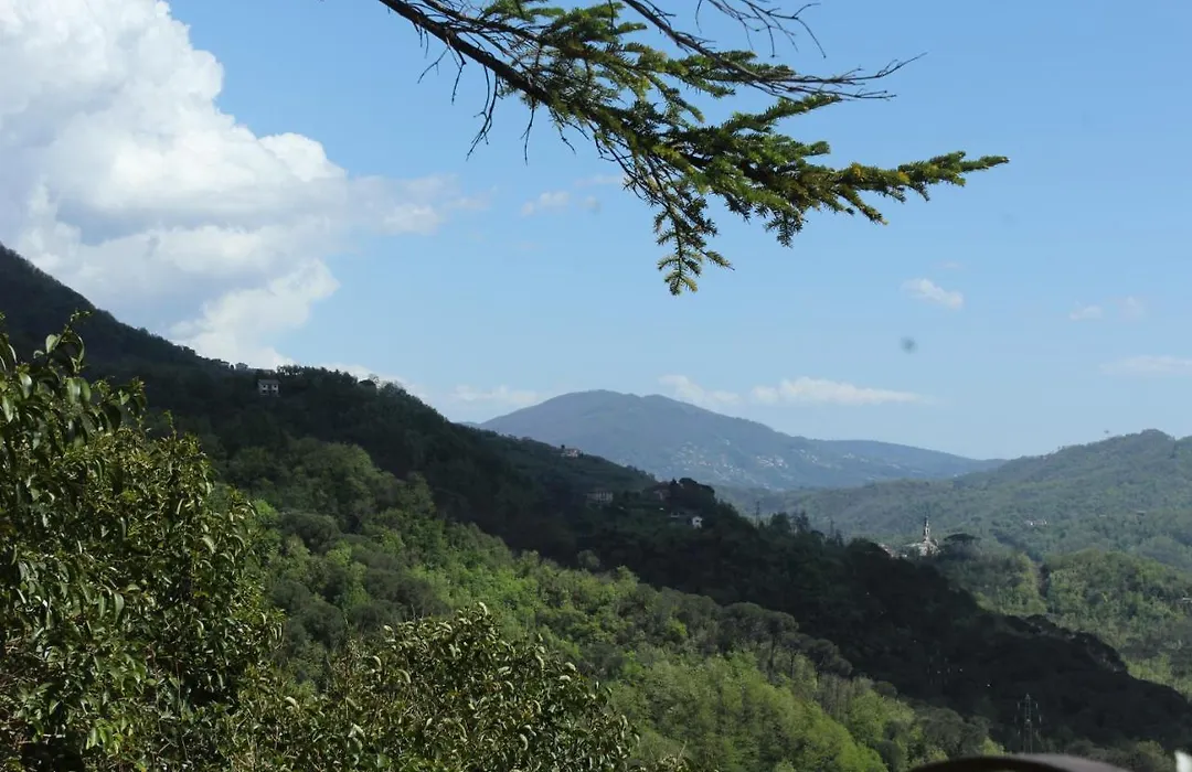 Locanda Del Sale Affittacamere-1